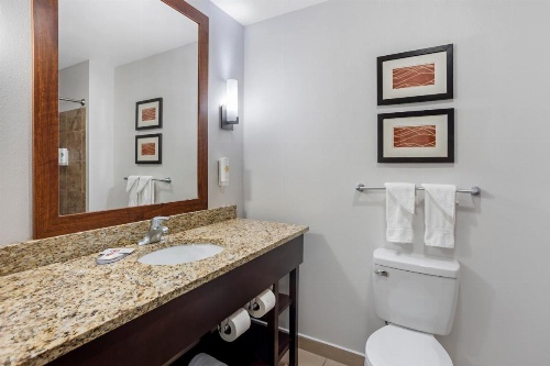 Comfort Inn & Suites Sayre image 14