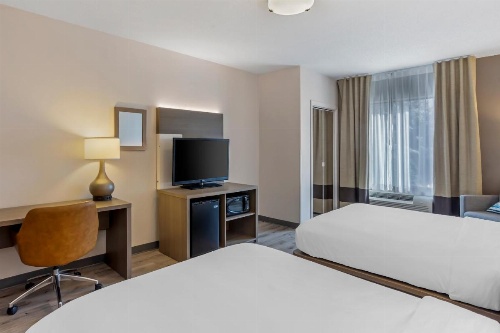 Comfort Inn & Suites Sayre image 25
