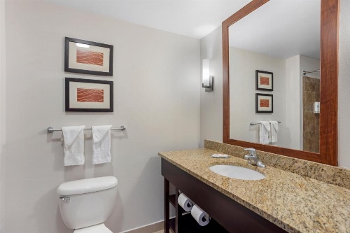 Comfort Inn & Suites Sayre image 26